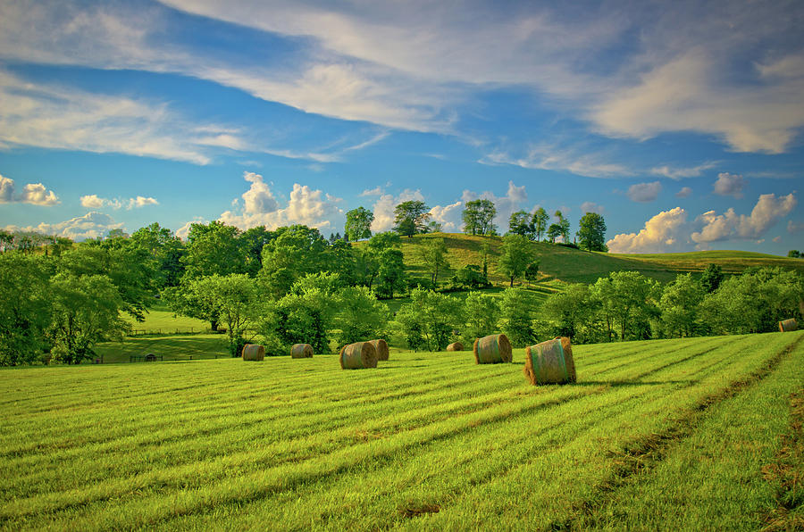 Summer on the Farm in Ohio Photograph by Ina Kratzsch - Fine Art America