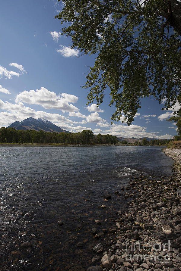 Summer on the Yellowstone - Montana Photograph by Julian Wicksteed