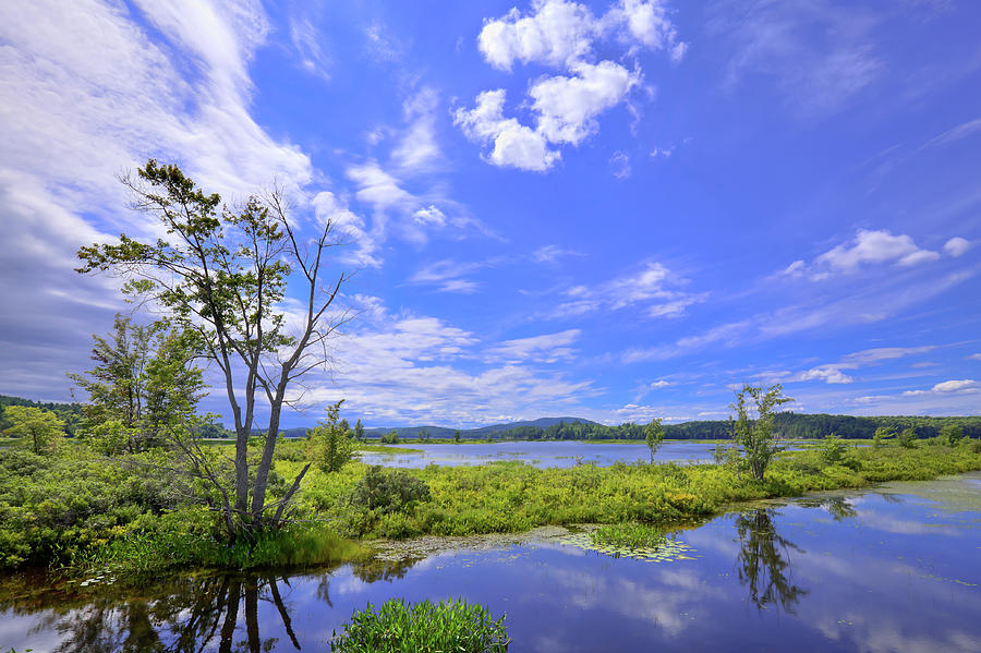 Summer on Tupper Lake Photograph by David Patterson