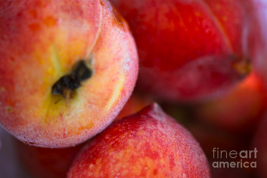 Summer Peaches Photograph by Nadine Rippelmeyer