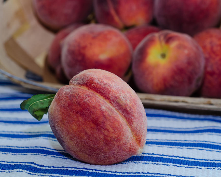Peach Photograph - Summer Peaches by Stephanie Maatta Smith