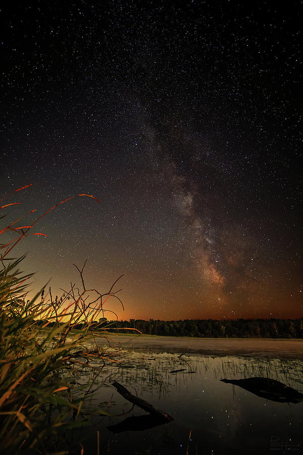 Summer Pond and Milky Way Photograph by Peter Herman