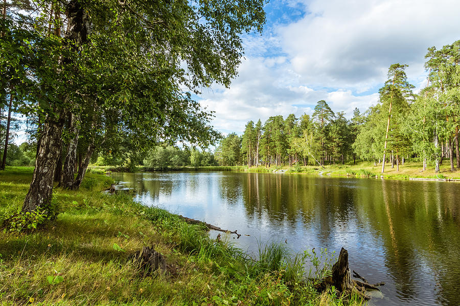 summer pond in the woods, Ural Russia Painting by Alex Rudny - Fine Art ...