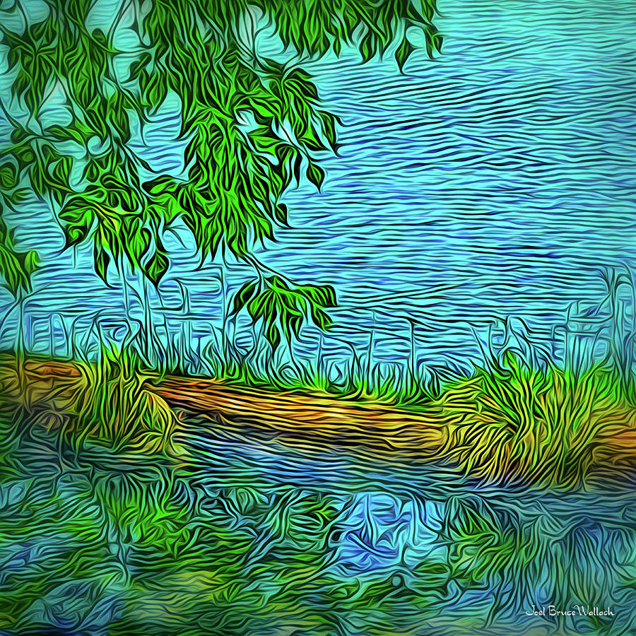 Summer Pond Reflections Digital Art by Joel Bruce Wallach