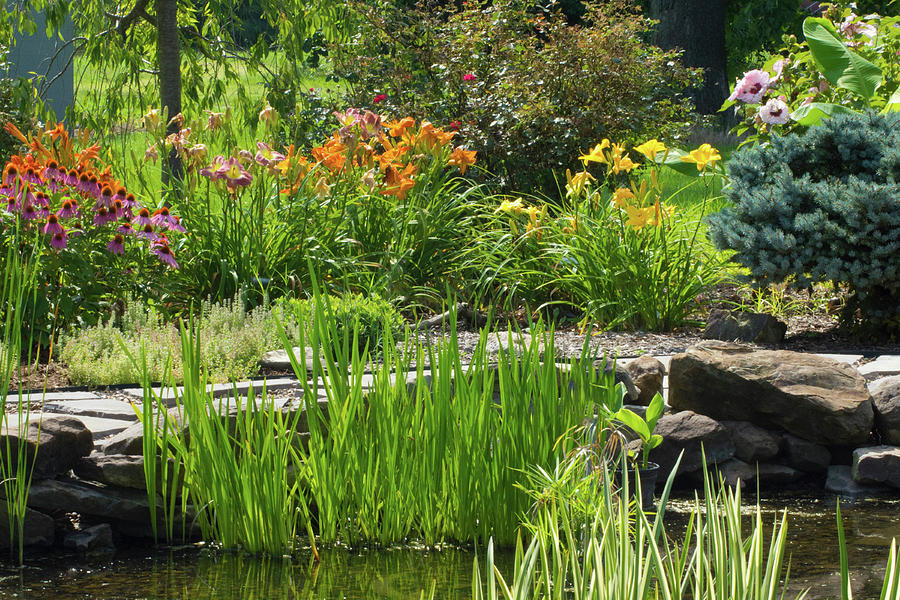 Summer Pond Scene Photograph by Belinda Stucki - Fine Art America