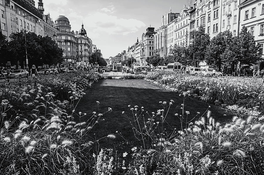 Summer Prague. Black and White Photograph by Jenny Rainbow