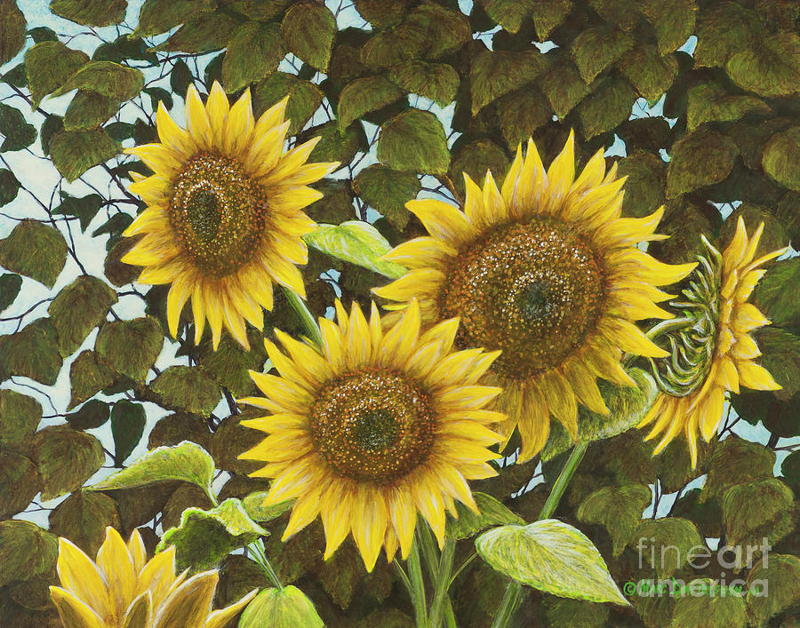 Sunflower Painting - Summer Quintet by Marc Dmytryshyn
