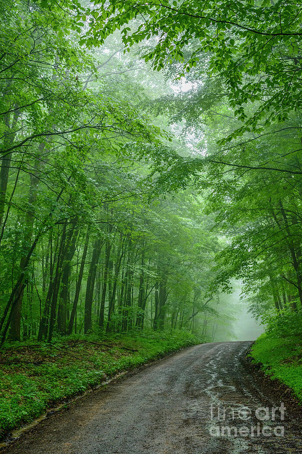 Summer Rain Country Road Photograph by Thomas R Fletcher