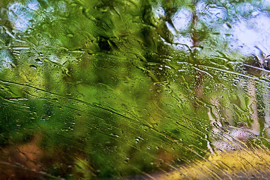Summer rain Photograph by Tatiana Travelways
