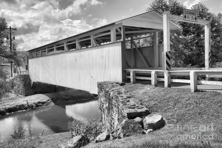 Summer Refelctions In Dunnings Creek Black And White Photograph by Adam Jewell