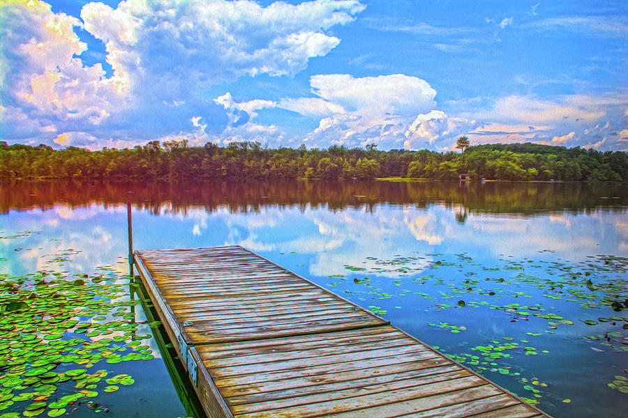 New York Landscapes Photograph - Summer Reflections At Wickham Lake Abstract by Angelo Marcialis