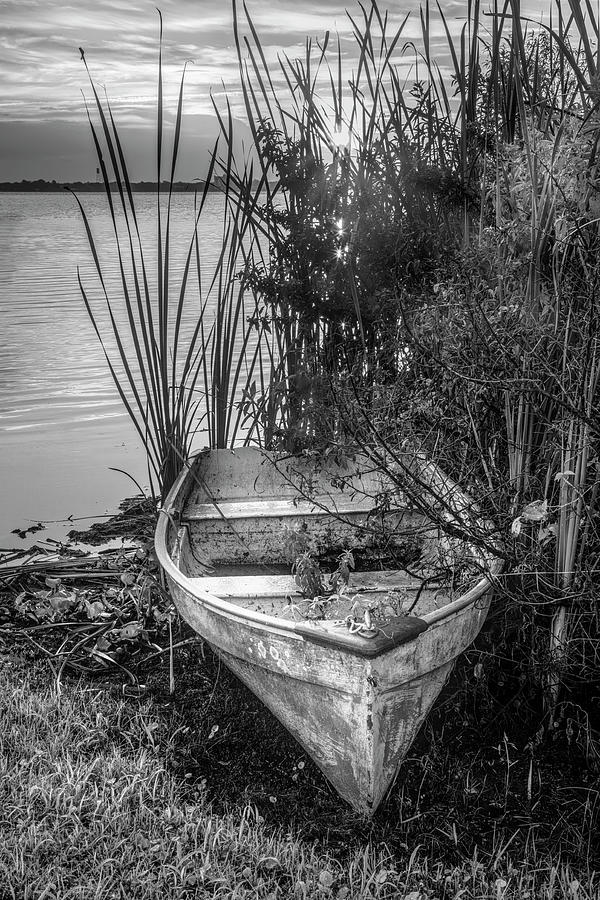 Summer Rowboat in Black and White Photograph by Debra and Dave Vanderlaan