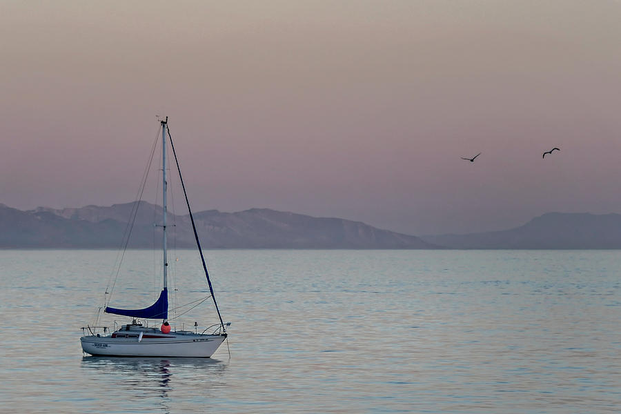 Summer Sailing Photograph by Pamela Steege