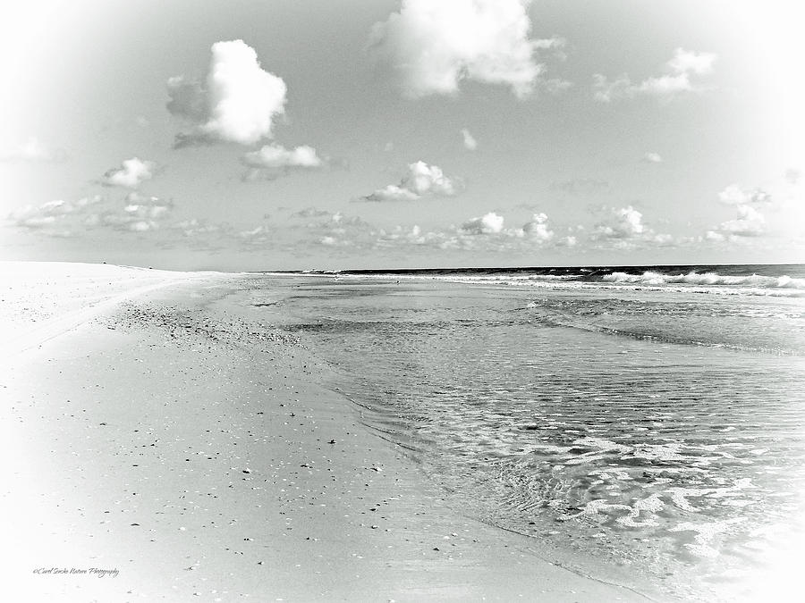 Summer Seashore - Black and White Photograph by Carol Senske