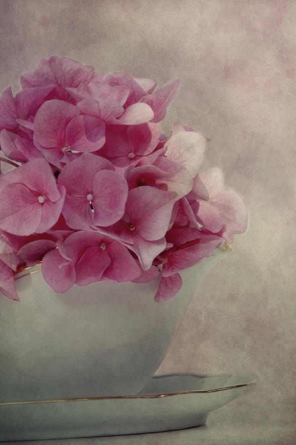 Flower Photograph - Summer secret by Claudia Moeckel