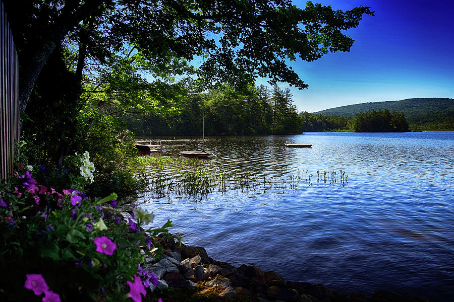 Summer Serenity Photograph by Tricia Marchlik