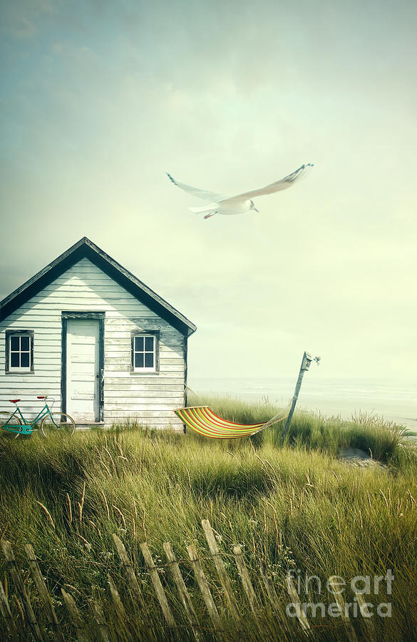 Summer shack with hammock by the ocean Photograph by Sandra Cunningham