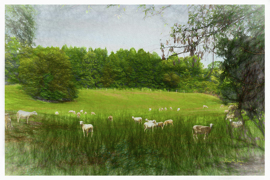 Summer Sheep Digital Art by Barry Jones