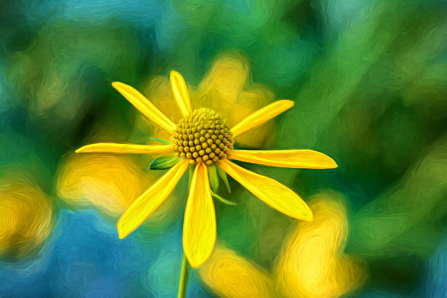 Summer Soft - Paint Photograph by Steve Harrington | Fine Art America