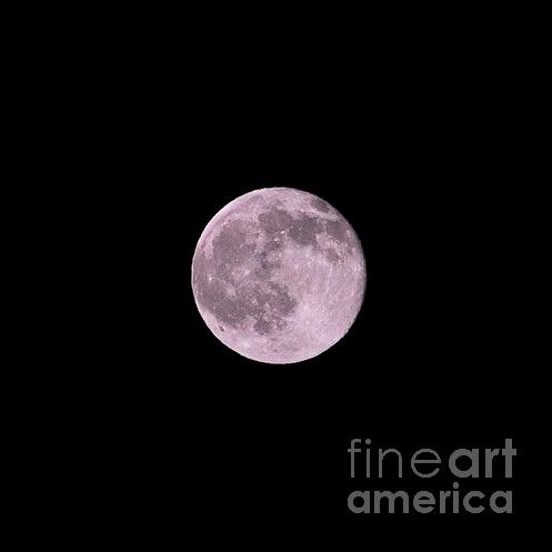 Summer Solstice Strawberry Moon by Bridgette Gomes Summer Solstice Strawberry Moon by Bridgette Gomes
