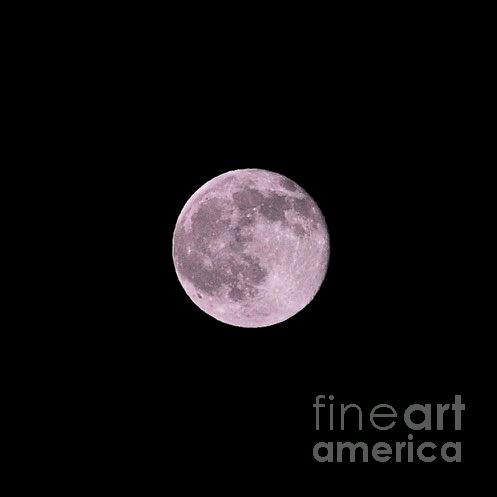 Summer Solstice Strawberry Moon Photograph by Bridgette Gomes