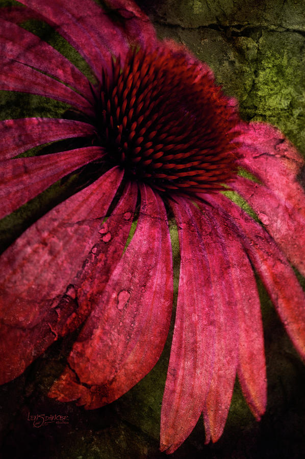 Garden Photograph - Summer Splendor by Joy Gerow Garden Photograph - Summer Splendor by Joy Gerow