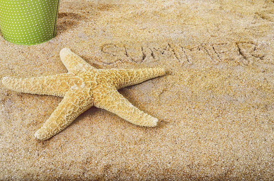 Summer Starfish Photograph by Marianne Campolongo