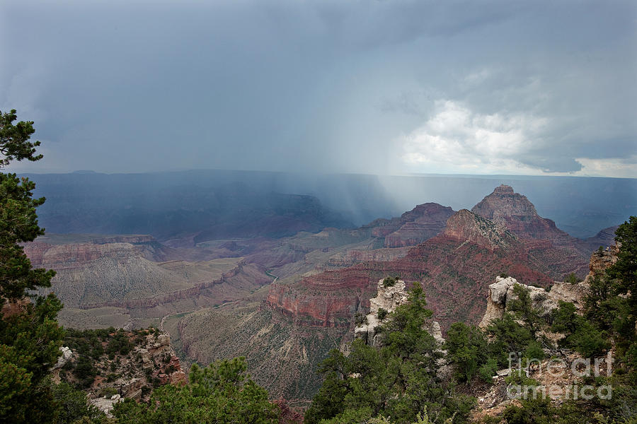 Summer Storm North Rim Grand Canyon National Park Arizona Photograph by Dave Welling