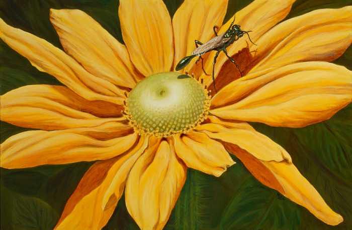 Flower Painting - Summer Sun by Marion Simmons Flower Painting - Summer Sun by Marion Simmons