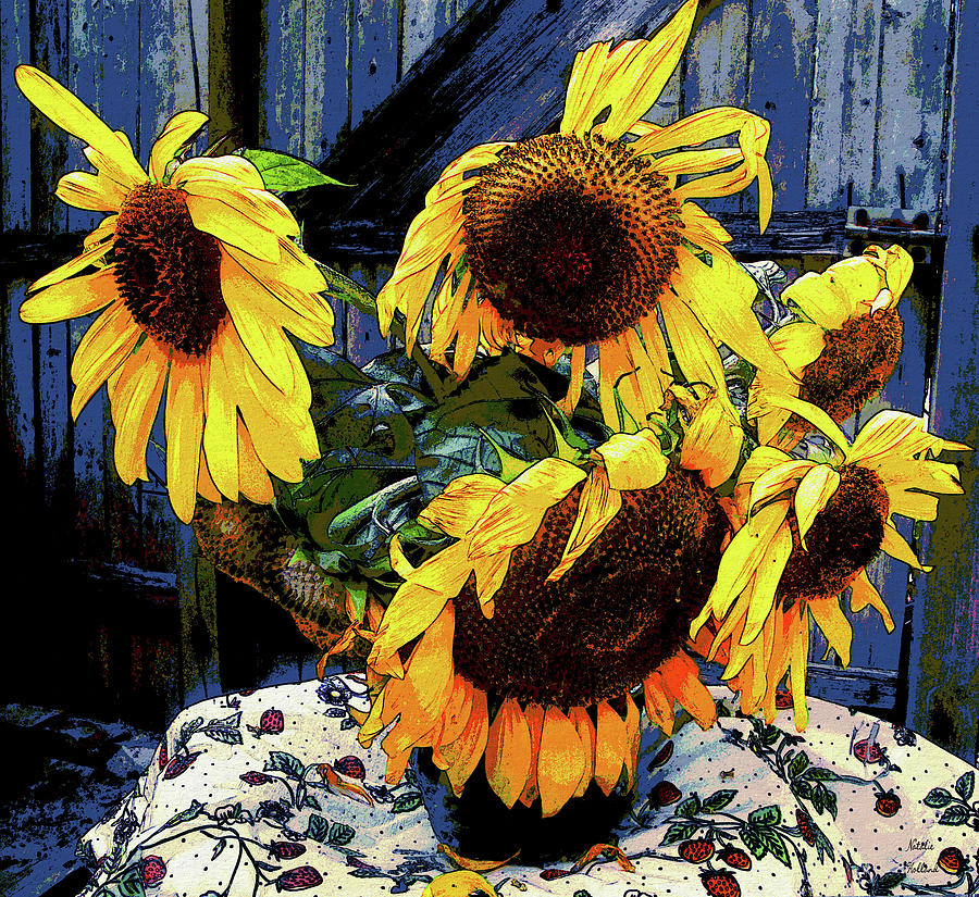 Summer Sunflowers Photograph by Natalie Holland