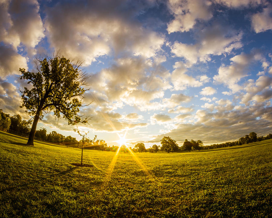 Buffalo Photograph - Summer Sunrise Across Delware Park Meadow by Chris Bordeleau
