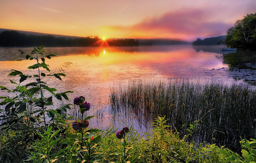 Sunrise Photograph - Summer Sunrise by Bill Wakeley