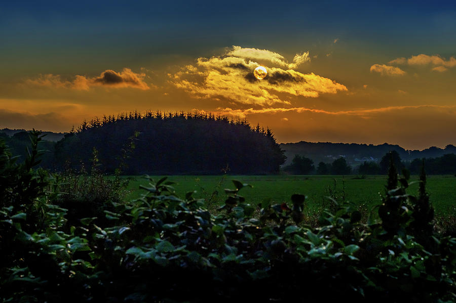Summer Sunrise Photograph by Mark Llewellyn