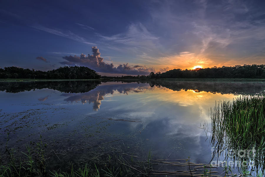 Water Photograph - Summer Sunrise by Rick Mann