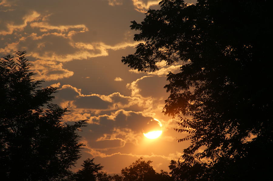 Summer Sunset 2 Photograph by Liz Vernand