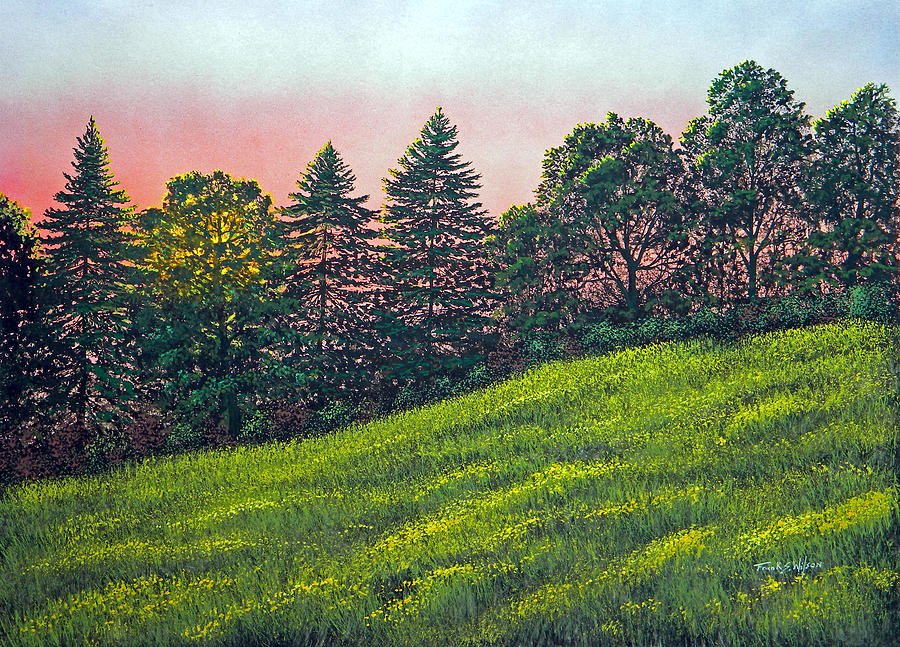 Summer Sunset Painting by Frank Wilson