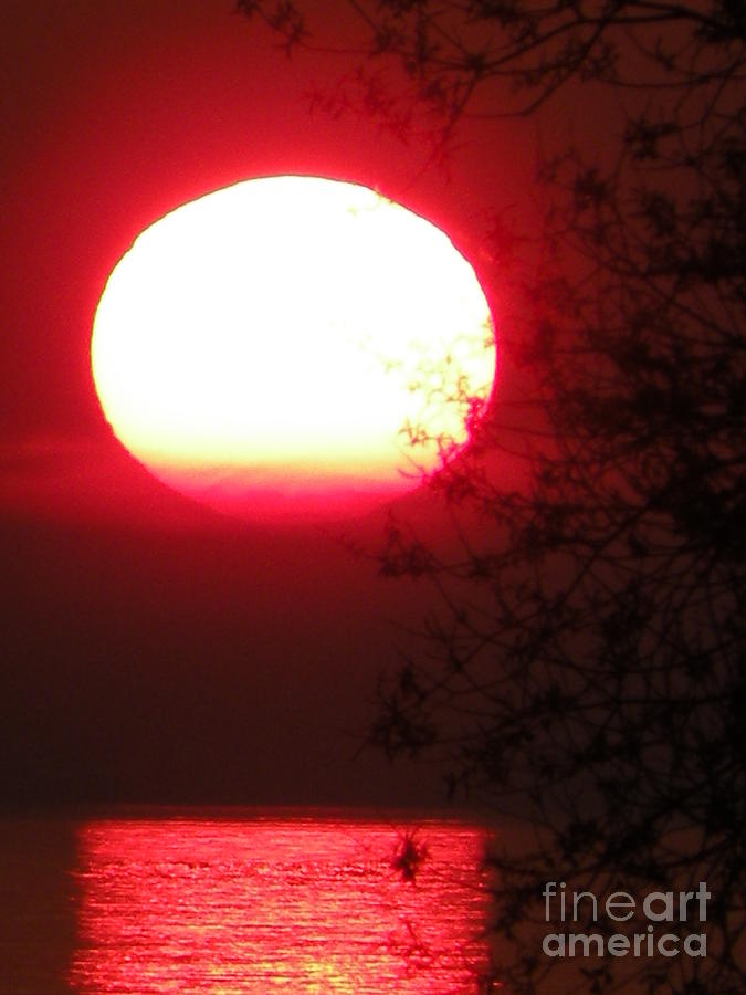 Summer Sunset by Joanne Young Summer Sunset by Joanne Young