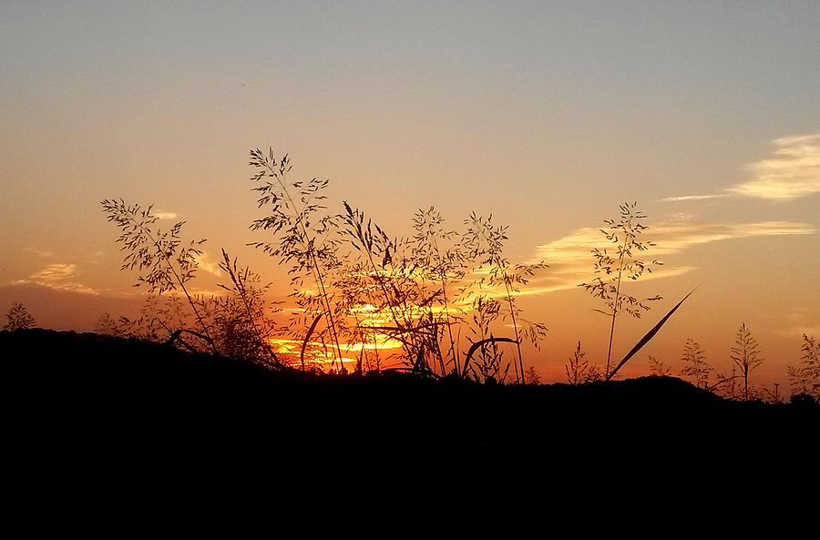 Summer Sunset on the Prairie Photograph by Maria Urso