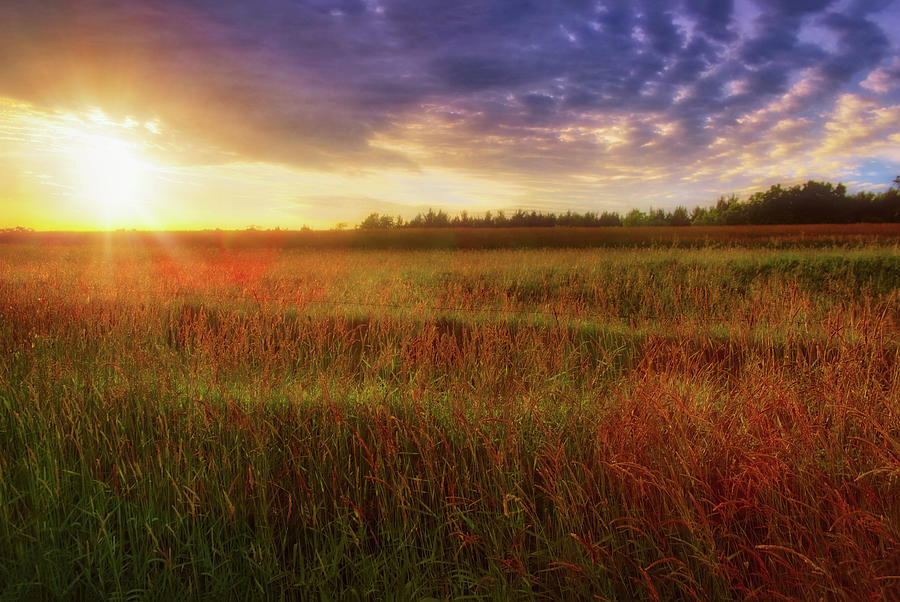 Summer Sunset - Waukesha Wisconsin  Photograph by Jennifer Rondinelli Reilly - Fine Art Photography