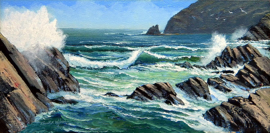 Seagull Painting - Summer Surf by Frank Wilson