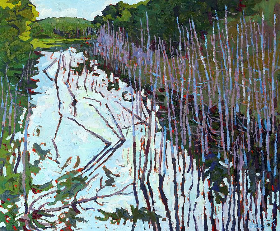 Summer Swamp Painting by Phil Chadwick