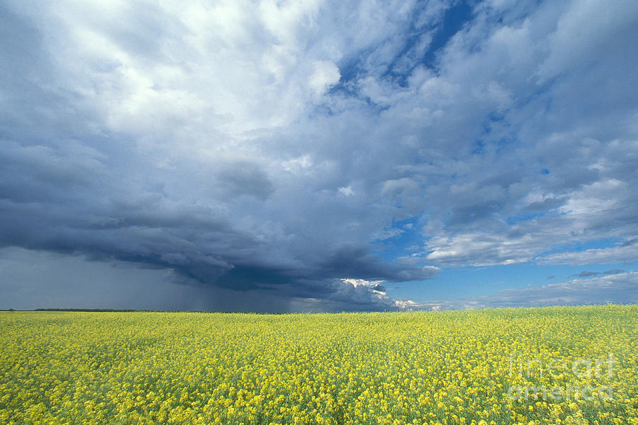 Summer Thunder Storm, Saskatchewan Photograph by Brock May