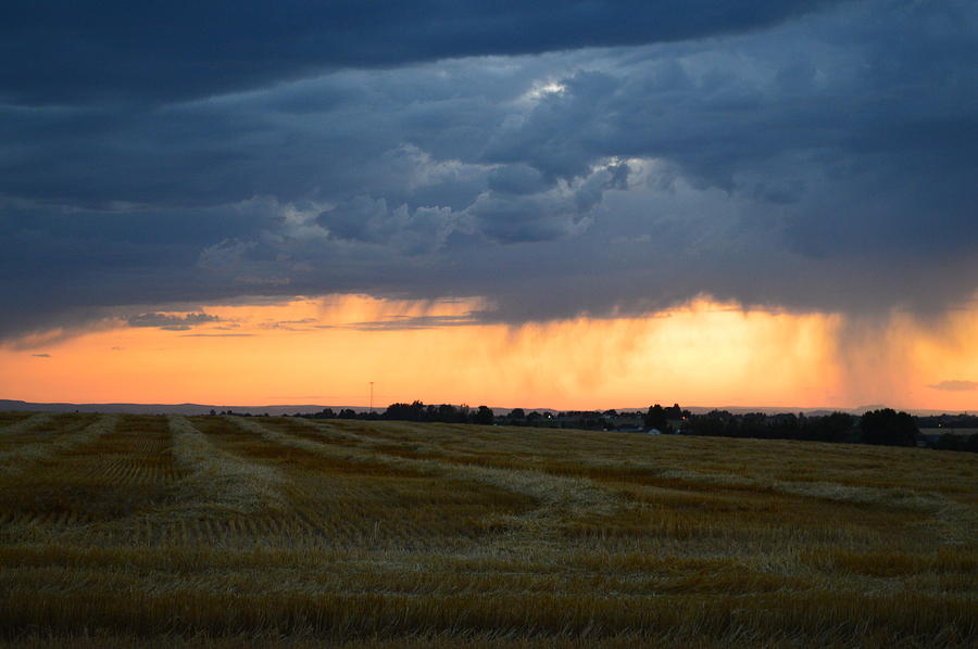 Summer Time in the Country Photograph by Kayla Craig - Fine Art America