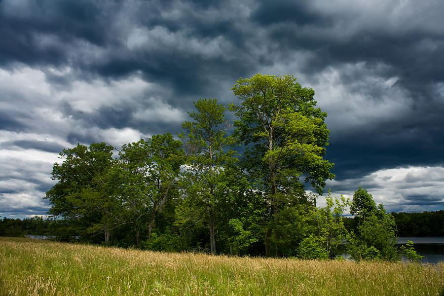 Summer Trees And Storm Clouds Photograph by Irwin Barrett