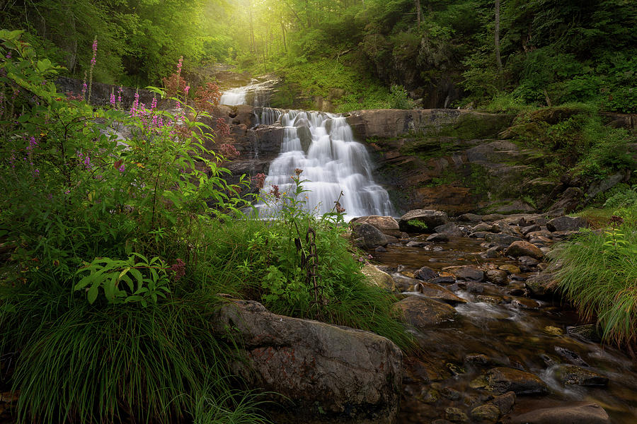 Summer Photograph - Summer Waterfall by Bill Wakeley