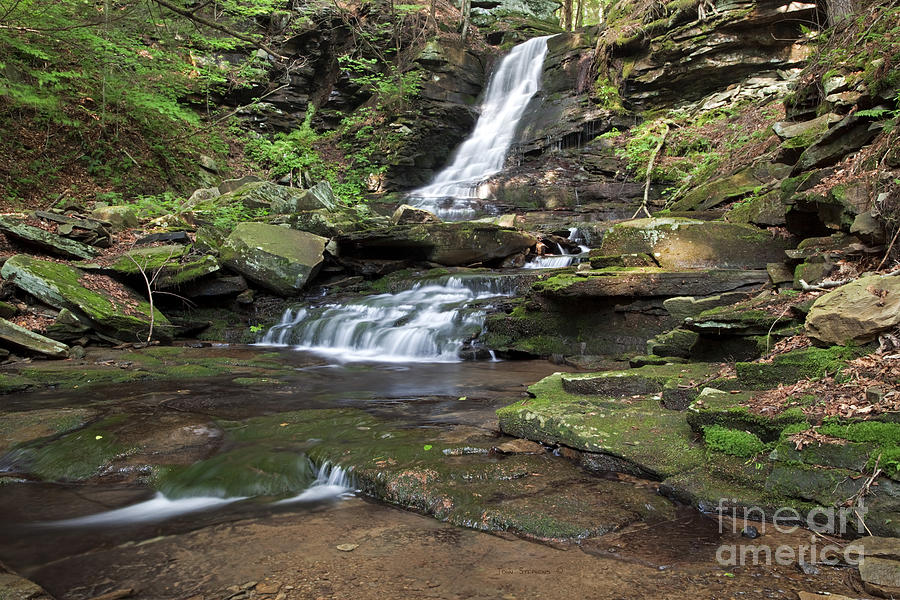 Summer Waterfall Cascade Photograph by Lone Palm Studio - Fine Art America