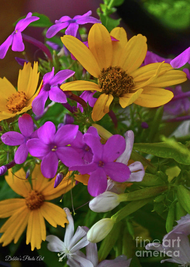 Summer Wildflower Boquet 1 Photograph by Debbie Portwood