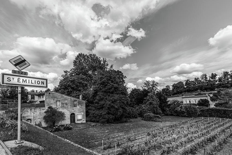 Summer Wine Country in Mono Photograph by Georgia Clare