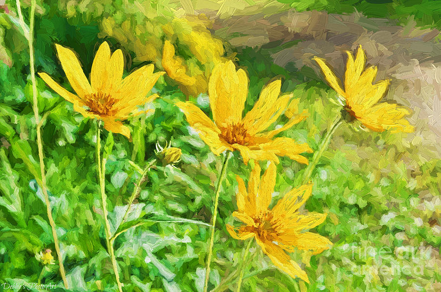 Nature Photograph - Summer Yellow wldflowers III by Debbie Portwood