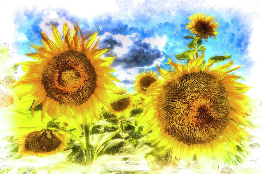 Summers Day Sunflowers Art Photograph by David Pyatt